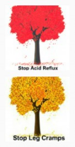 Caleb Treeze Stop Acid Reflux Stop Leg Cramps